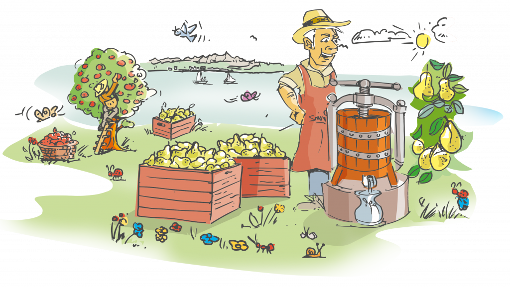 Ilustration: Obsternte und Saftpresse