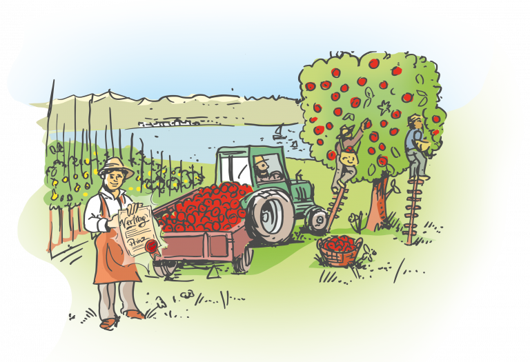 Ilustration: Obsternte in einer Streuobstwiese mit Traktor